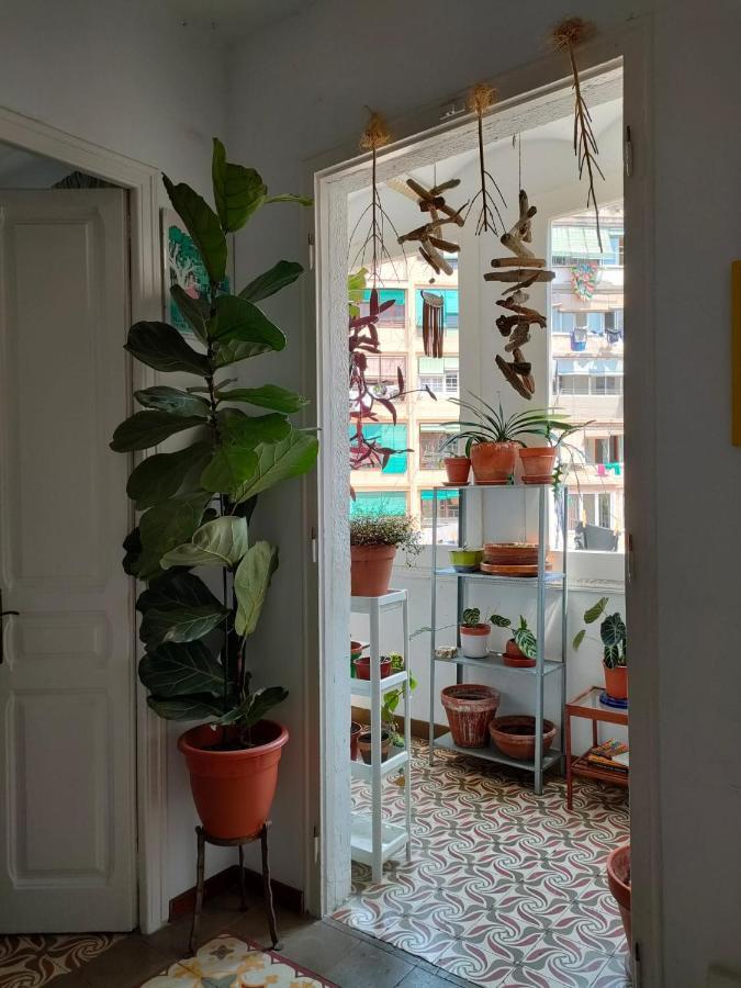 Appartement Pequeno Y Encantador Oasis En *