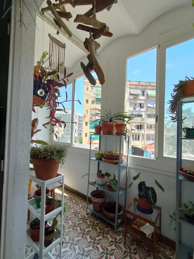 Appartement Pequeno Y Encantador Oasis En Barcelone