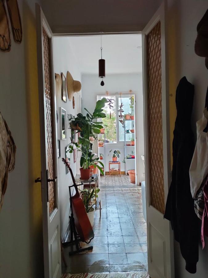 Pequeno Y Encantador Oasis En Appartement